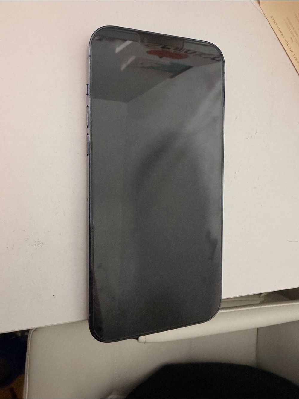 Apple blue iPhone 13 Pro Max with black outterbox case